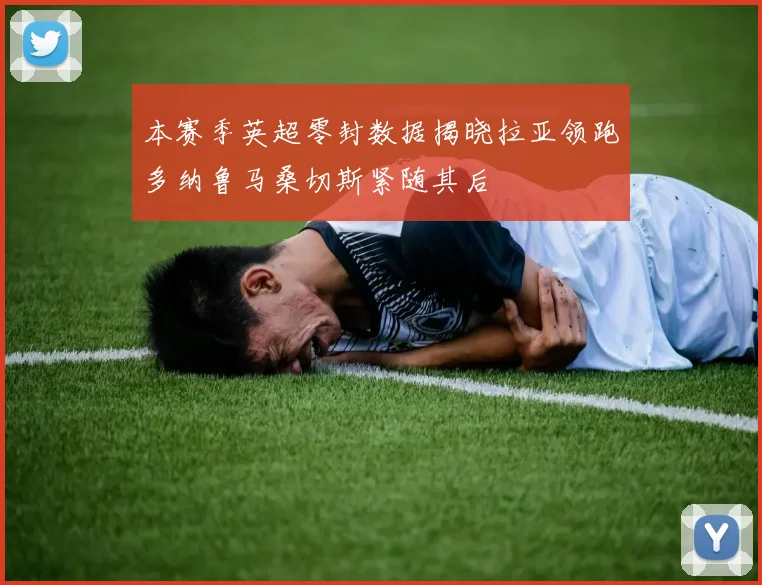 本赛季英超零封数据揭晓拉亚领跑多纳鲁马桑切斯紧随其后