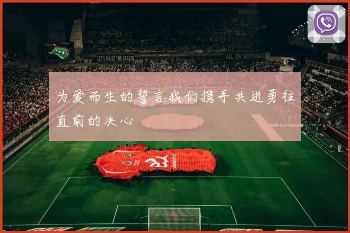 为爱而生的誓言我们携手共进勇往直前的决心
