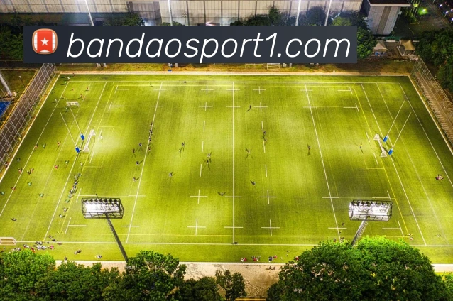 半岛足球体育APP 封面图